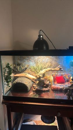75 gallon tank/ Enclosure/ Aquarium 48” x18”x21’’