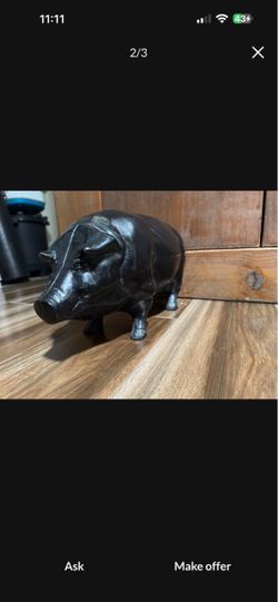 Designer Black Pig