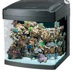 Biocube 14 Fish Tank 
