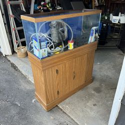 FISH TANK WITH EXTRAS!!