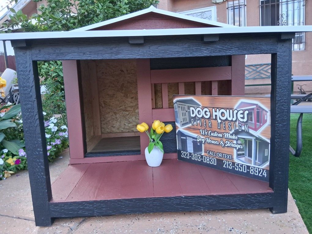 Dog House 