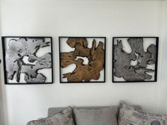 Set of 3 Framed Abstract Wood Slab Wall Art