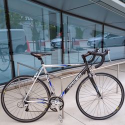 Trek 1000 Road Bike 