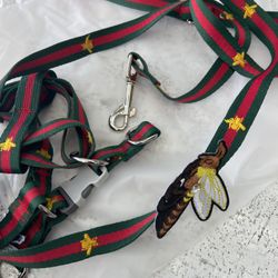 Luxury Dog Harness Set