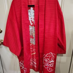 dragon robe/wear