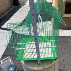 Bird Cage 