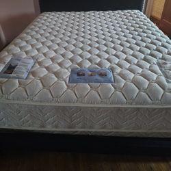 Queen Bed And Box spring 