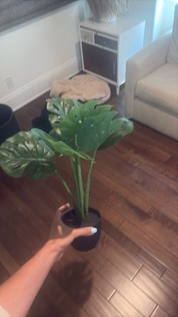 Faux plant