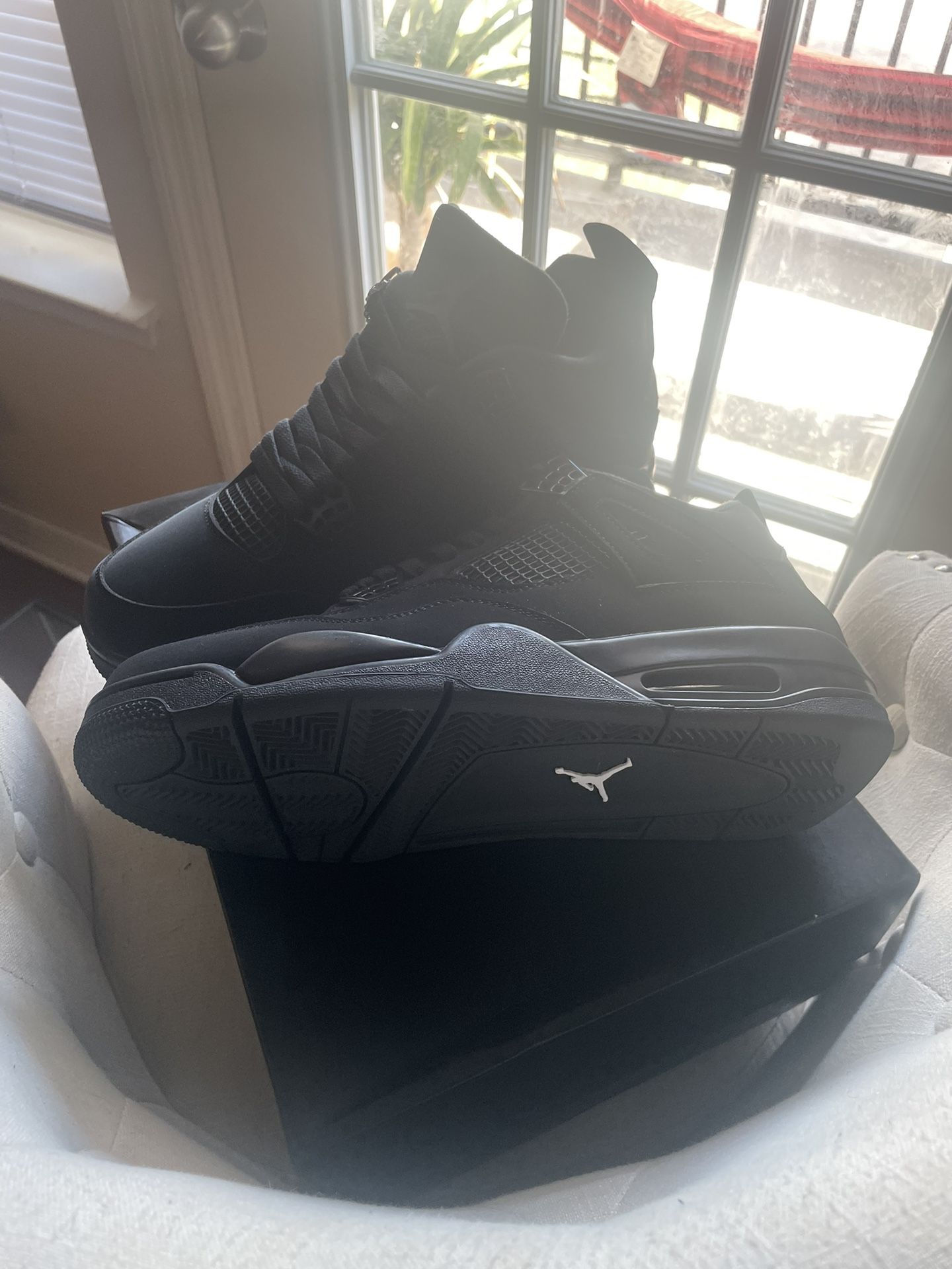 Jordan “Black Cat” 4s