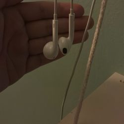 apple earbuds wire