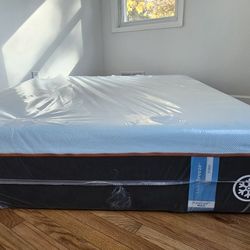 Tempur-pedic Queen And King And Twin Xl Available 