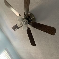 Ceiling Fan