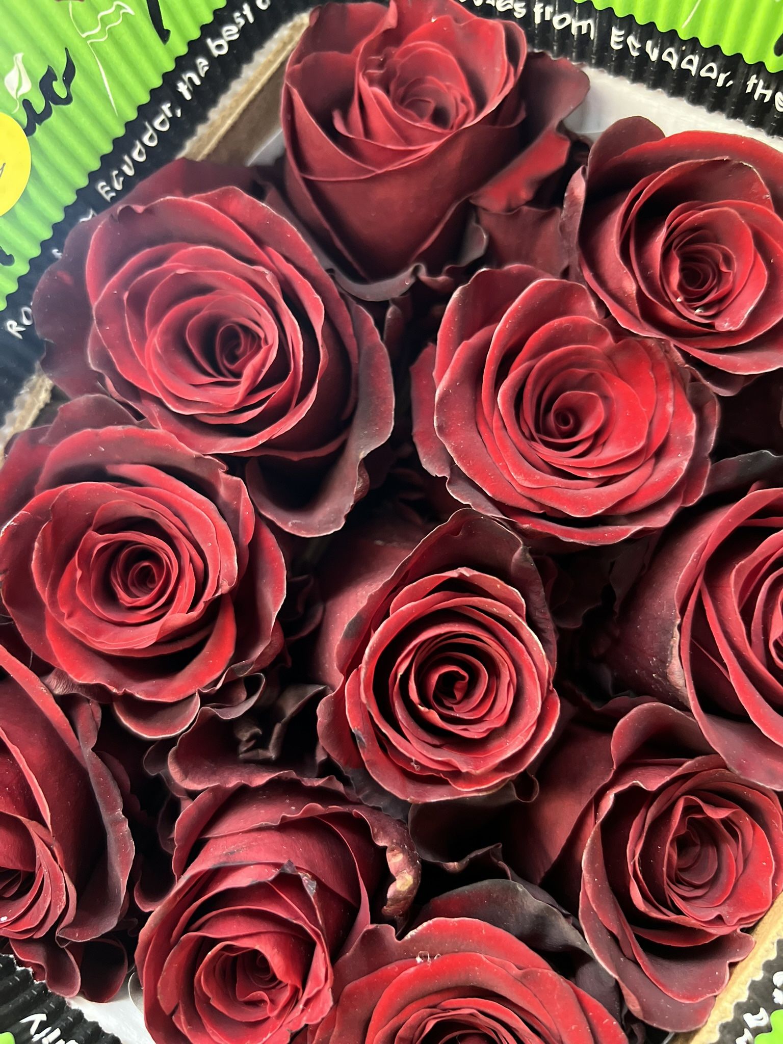 Flower Bouquets 