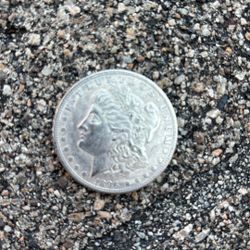 1896 Morgan Dollar One Dollar