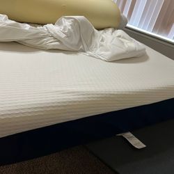 Electric Adjustable Bed 