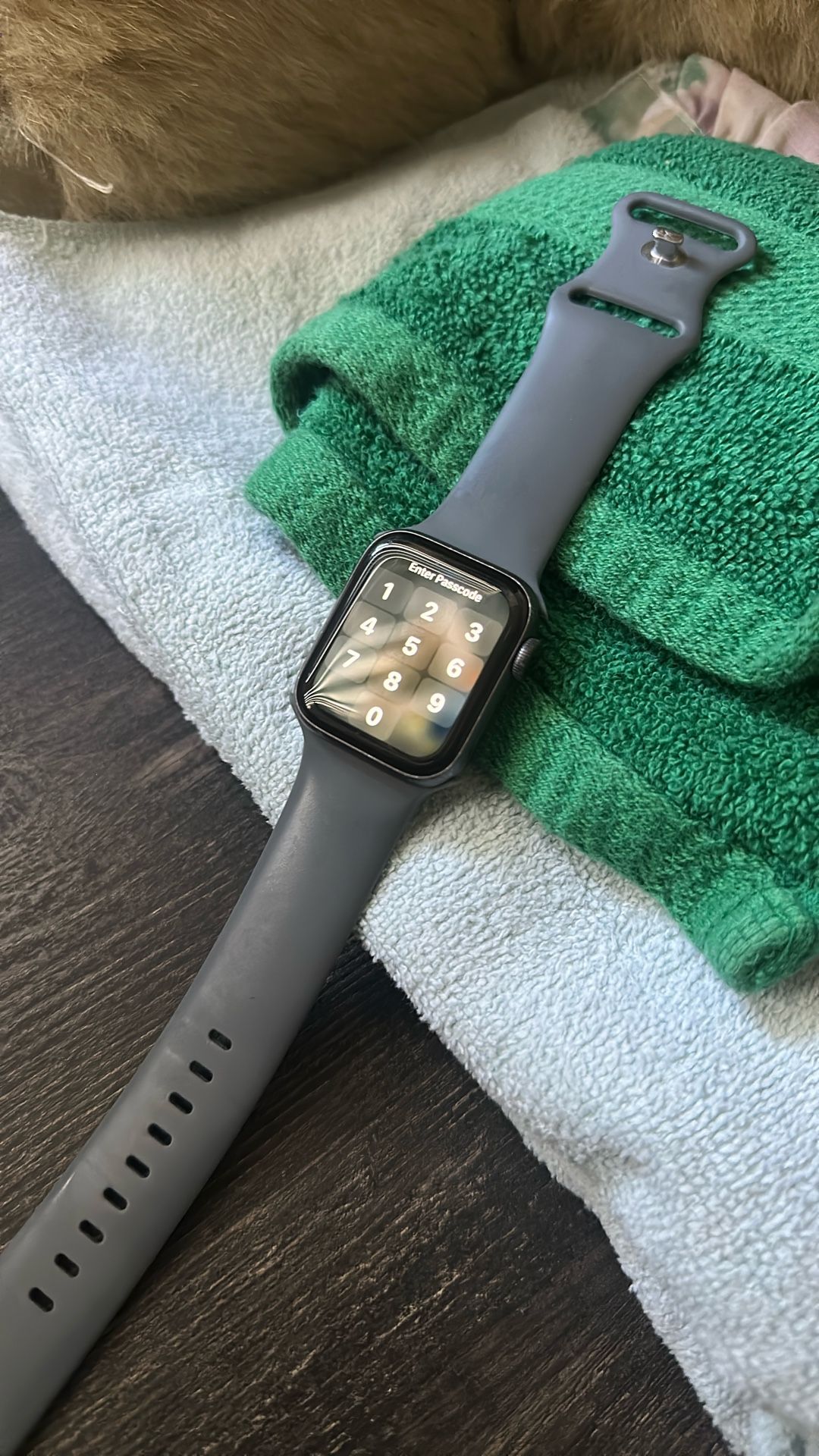 Apple Watch Series 5