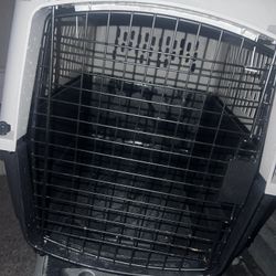 Dog Cage 