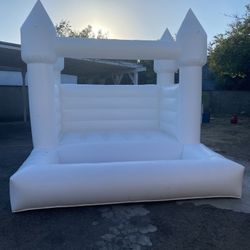 White Bouncer 10x10