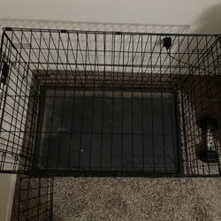 Dog Kennel 