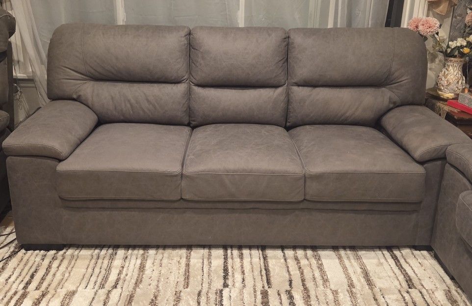 Two Sofa Couches