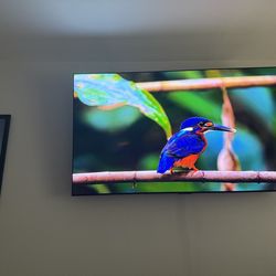 Like New LG C3 65” OLED evo 4K TV (OLED65C3PUA) 120Hz HDMI 2.1 Dolby Vision/Atmos webOS w/ Wall Mount