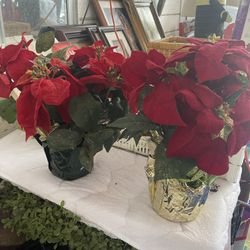 To artificial plants five dollars each