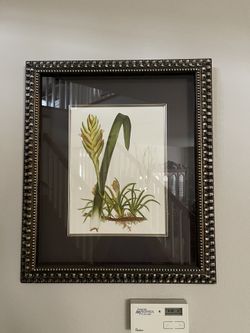 Plant Painting With Wooden Frame And Glass Cover