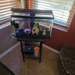 10 Gallon Fish Tank With Filters 3 Fish 1 Snail