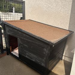 Dog House Great Shape