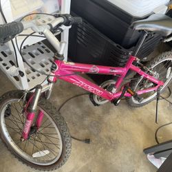 Magna Girls Bike