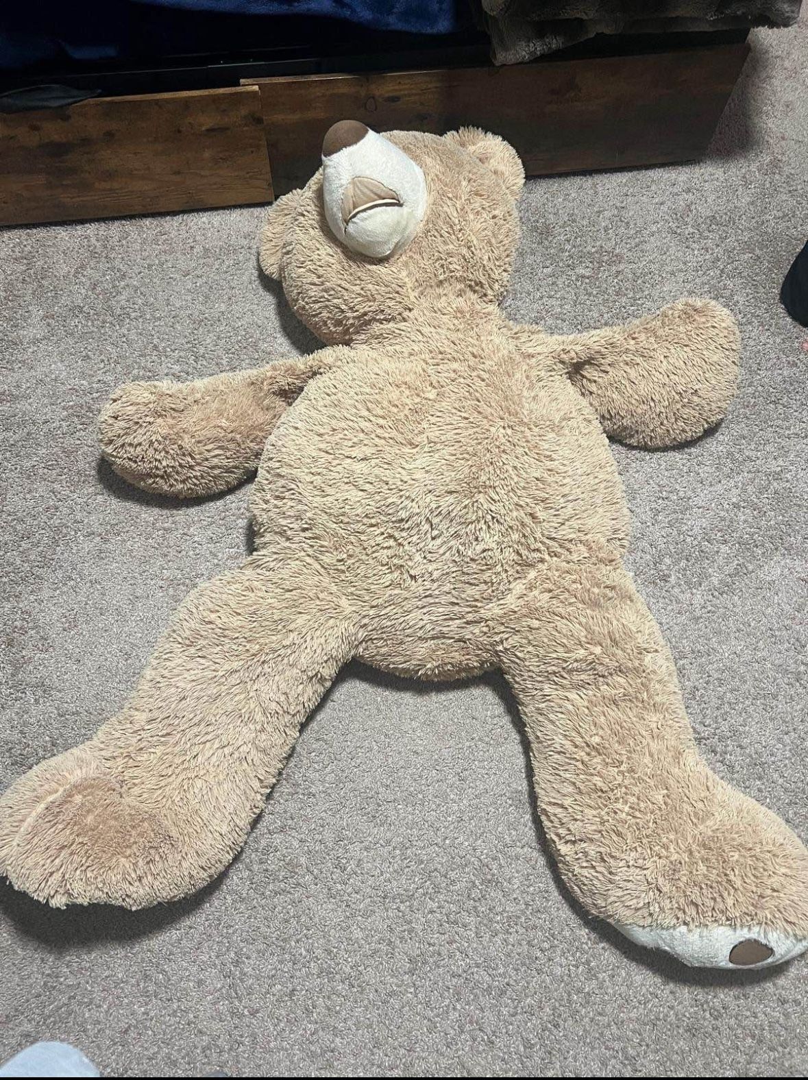 Big Teddy Bear