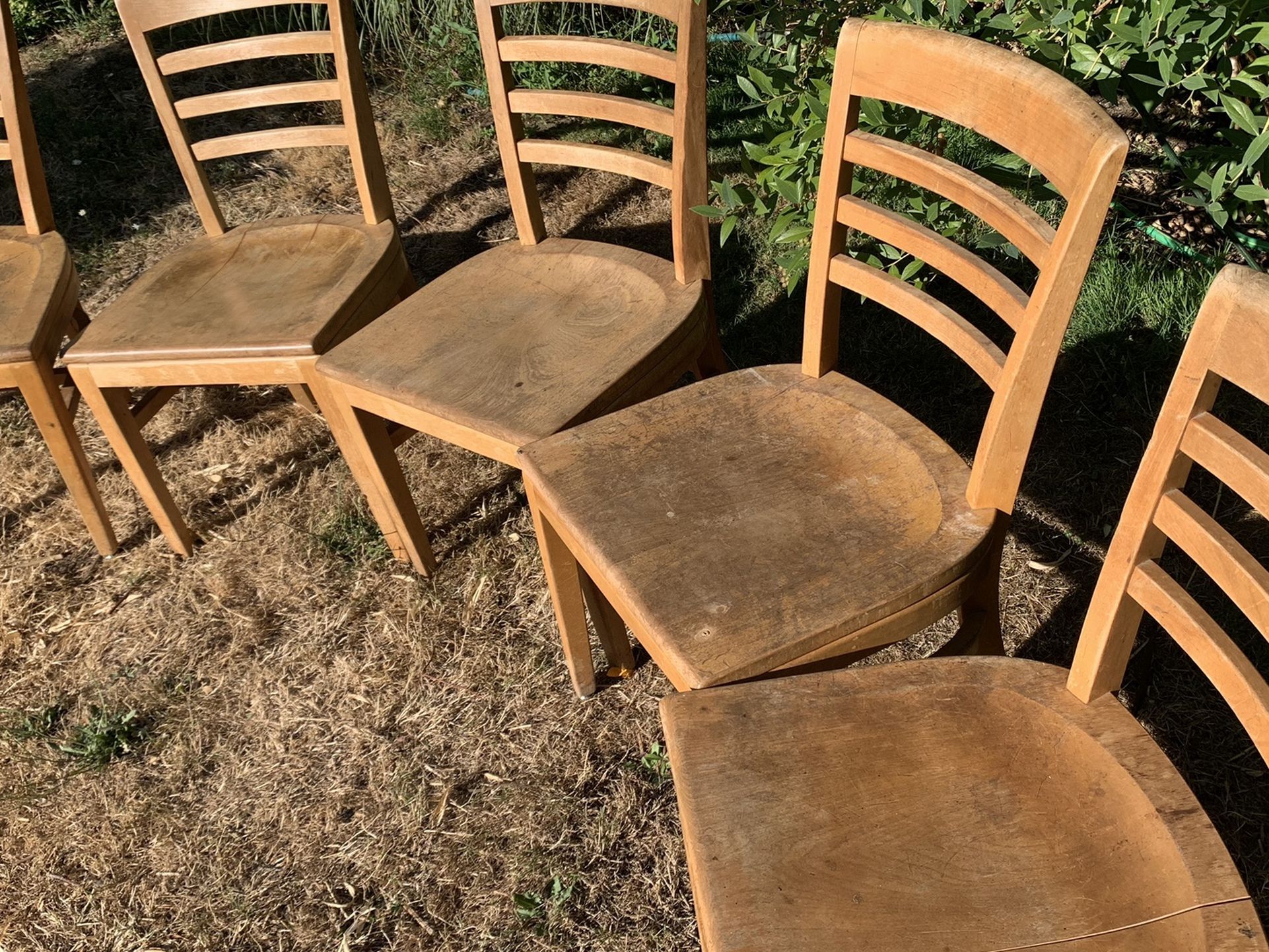 6 Birch Chairs From UofO Night Library Made By Sikes Co  