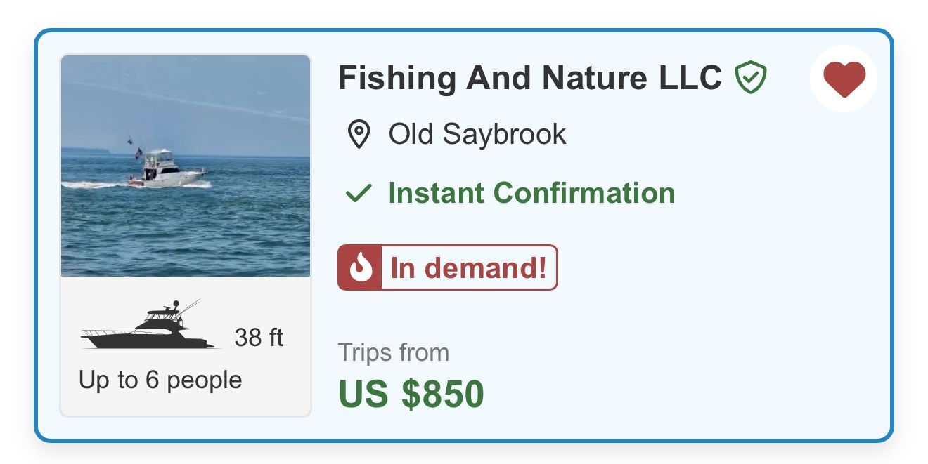 Fishing Charter 5 Hours