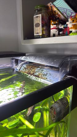 Aquaclear 110 hang on back filter