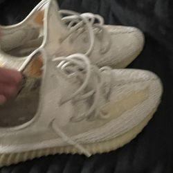 Yeezys 