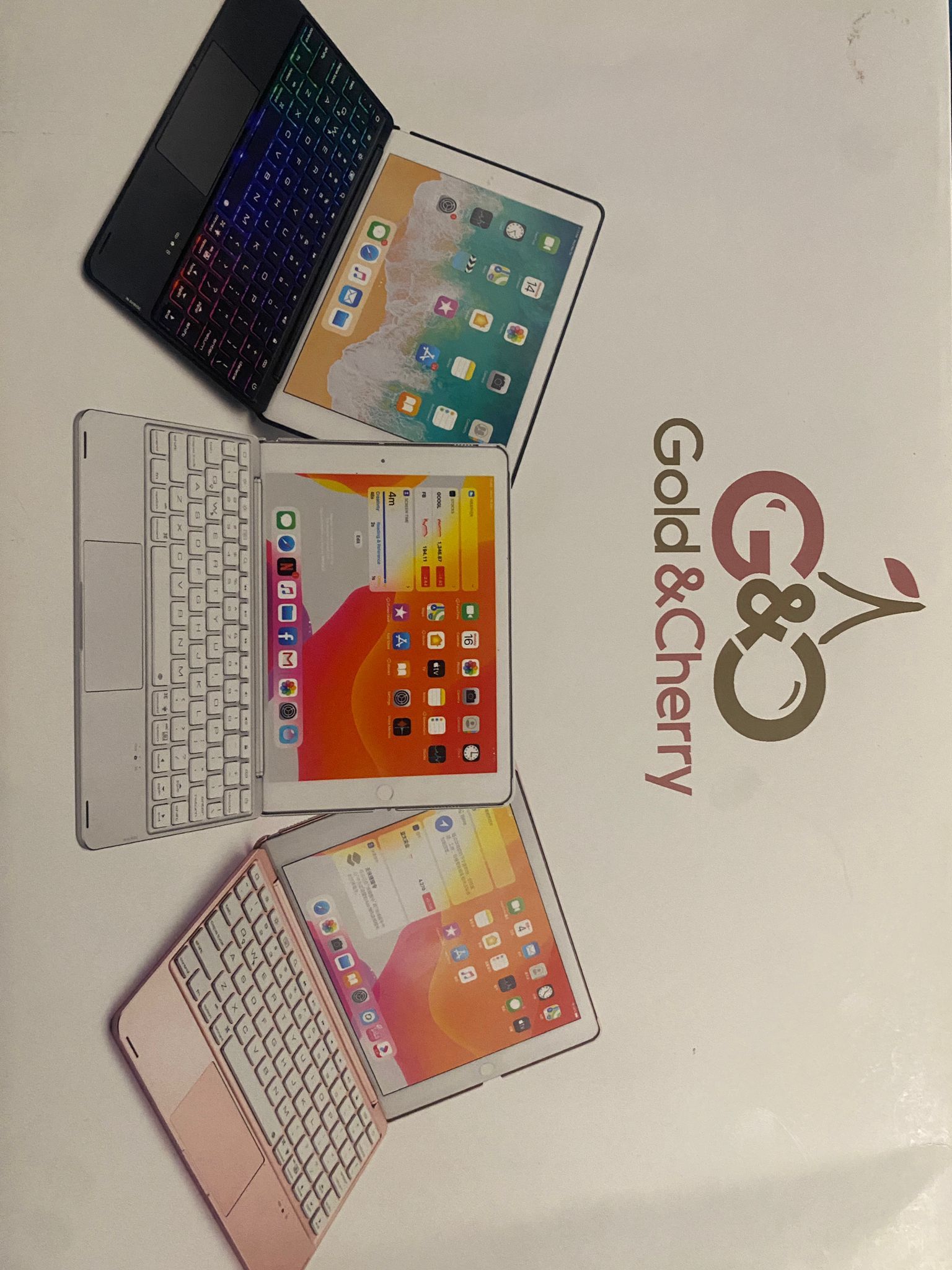 iPad Case