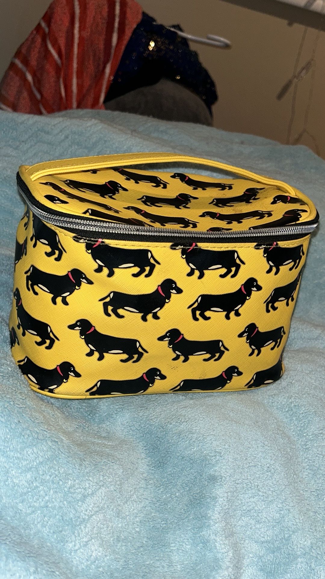 Mark Tetro Cosmetics Bag + TWO cosmetics Bags/Pouches