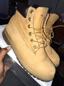 Timberlands junior 7