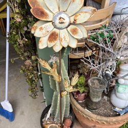 Garden Decoration