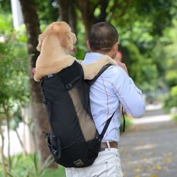 TWO Dog Backpack Carriers