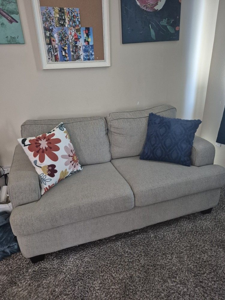 Free Loveseat Grey