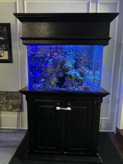 90 Gallon Saltwater Tank