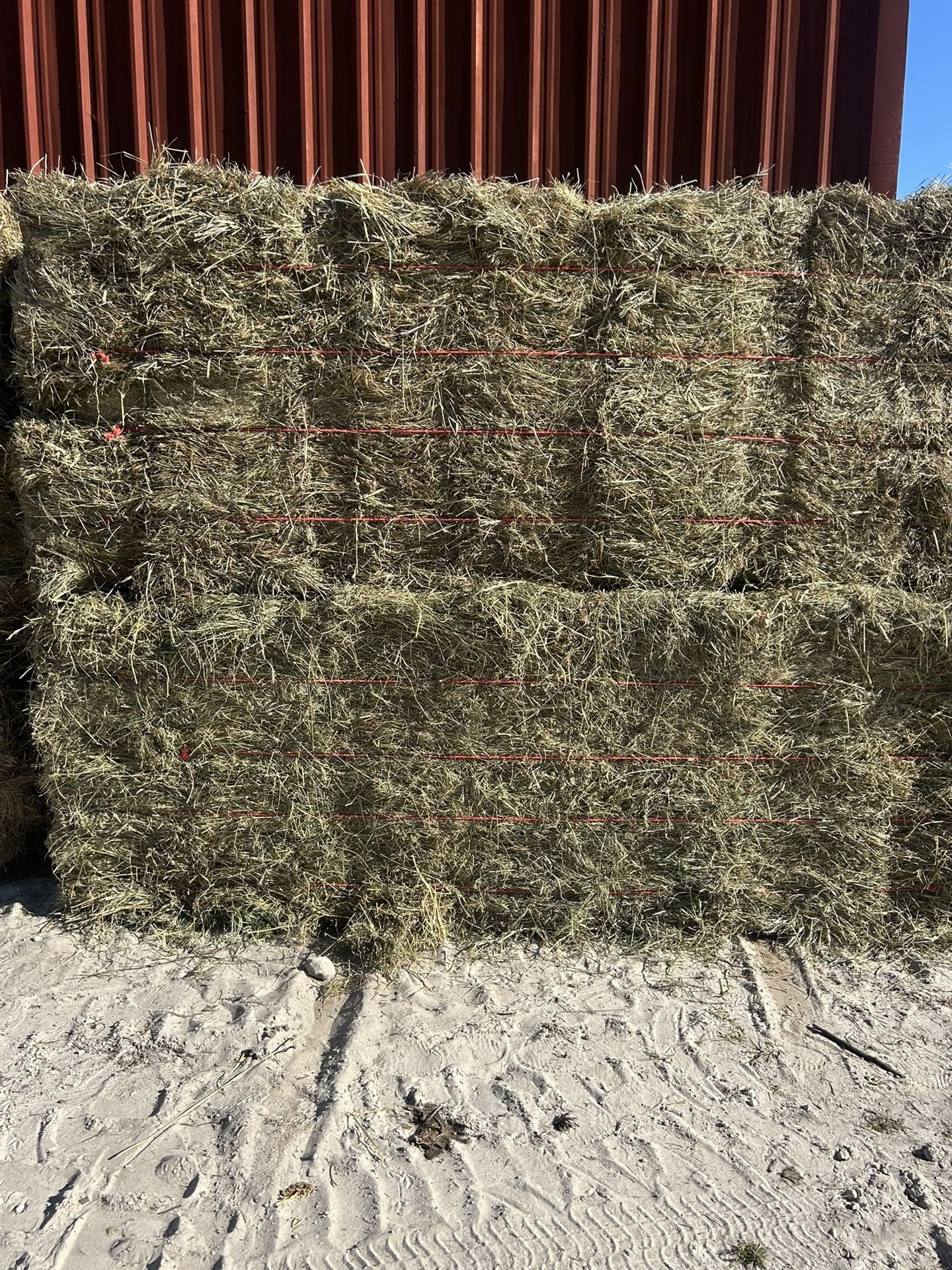 Mixed Grass
