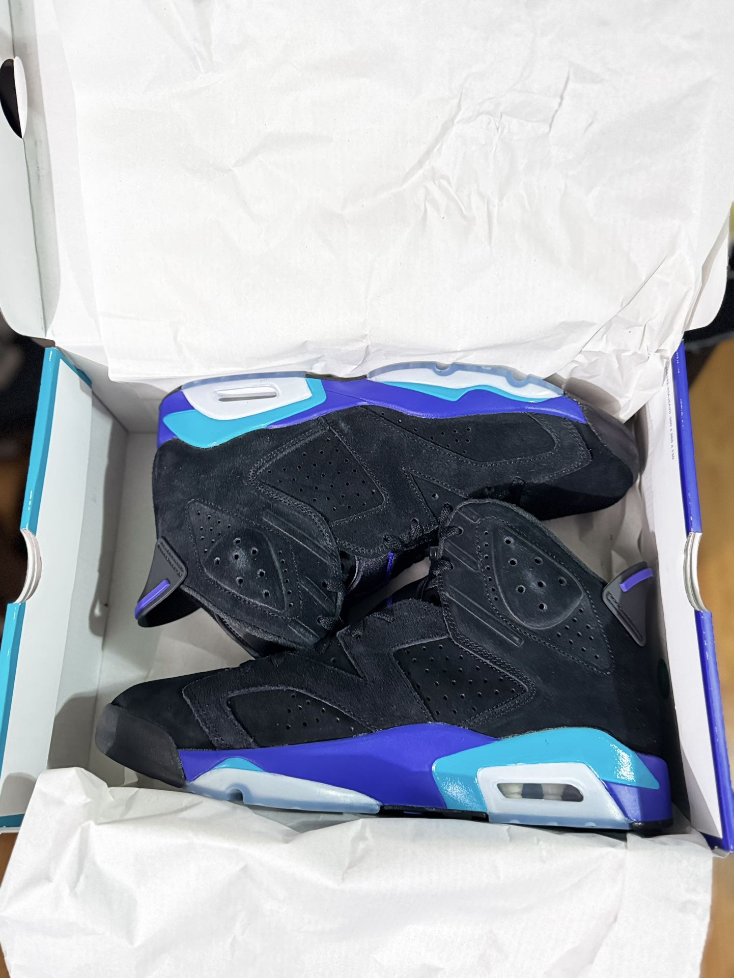 Brand New Air Jordan 6 Retro “Aqua” 2025