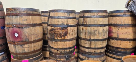 Empty whiskey barrels