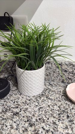 Fake plant