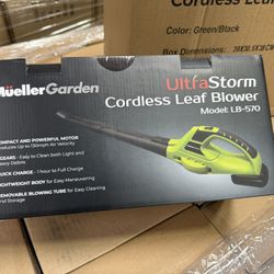 Leaf Blower With Battery $30