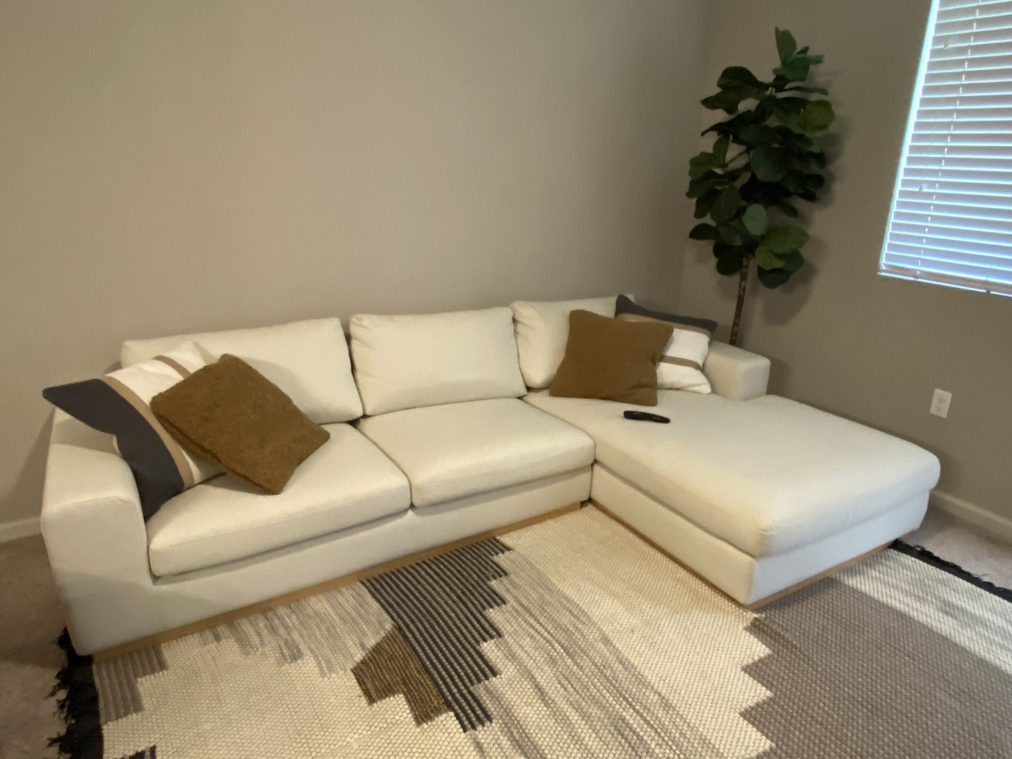 Stunning New Couch