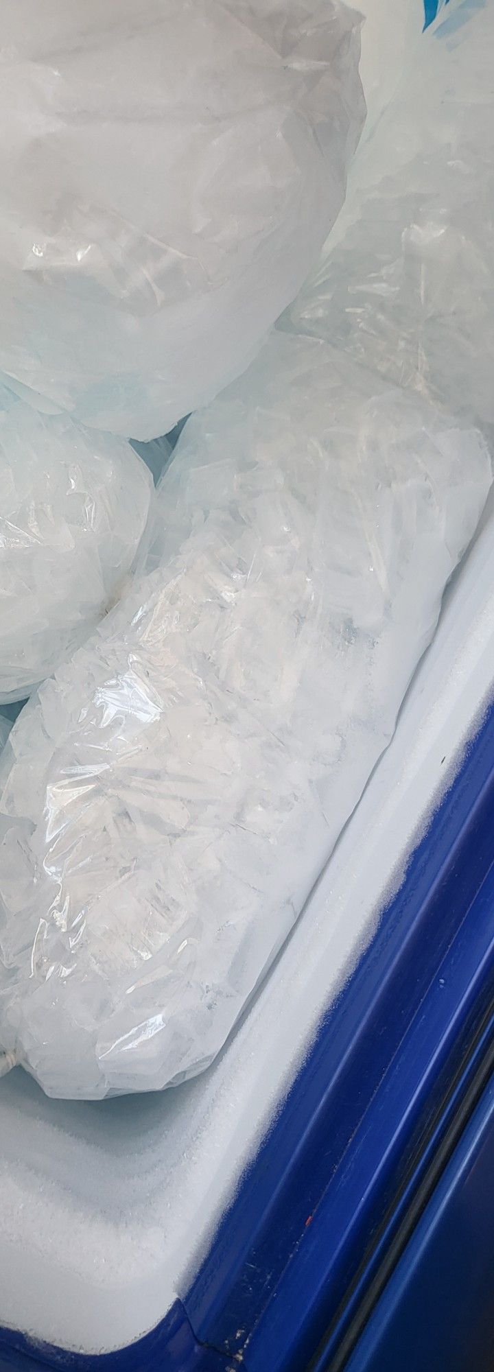 Ice 🧊 BAGS 