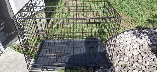 Kennels - Multiple - Lrg